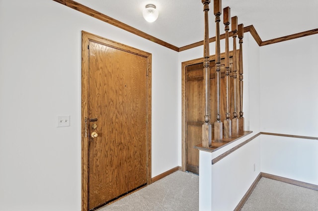 carpeted entryway featuring ornamental molding and a textured ceiling