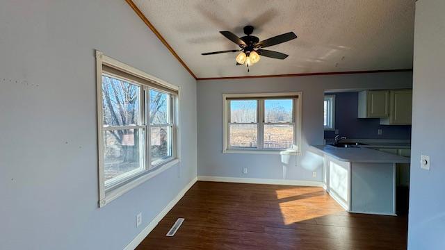 kitchen with ceiling fan, dark hardwood / wood-style flooring, a textured ceiling, vaulted ceiling, and ornamental molding