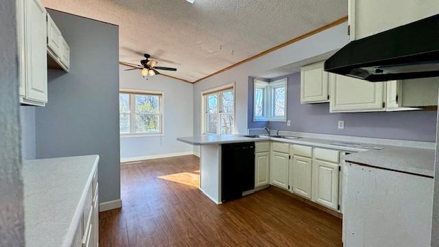 kitchen featuring dishwasher, lofted ceiling, ventilation hood, a textured ceiling, and kitchen peninsula