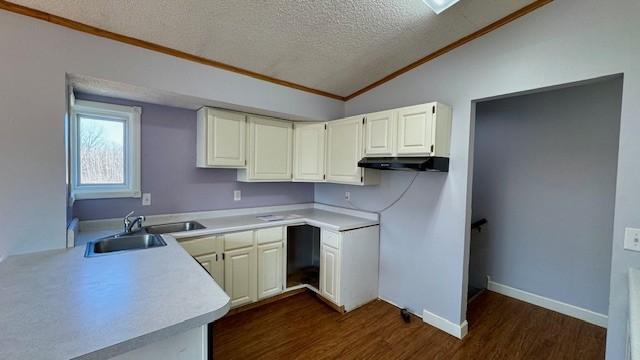 kitchen featuring sink, dark hardwood / wood-style floors, crown molding, a textured ceiling, and lofted ceiling