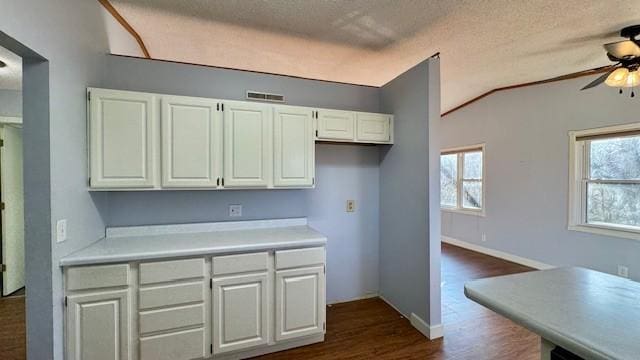 kitchen featuring vaulted ceiling, white cabinetry, plenty of natural light, and ceiling fan