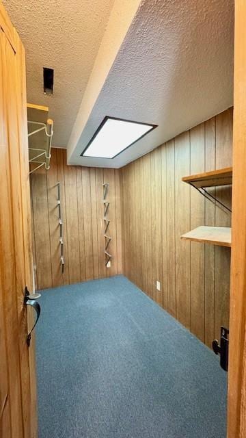 basement with carpet, a textured ceiling, and wood walls