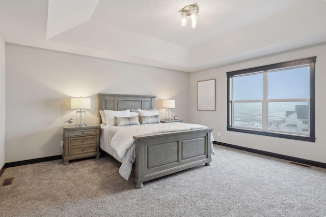 carpeted bedroom featuring a tray ceiling