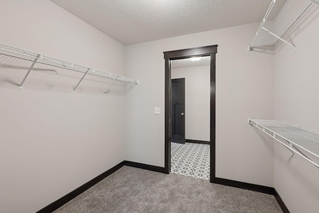 spacious closet with carpet