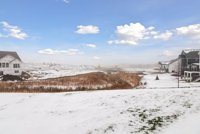 view of yard covered in snow