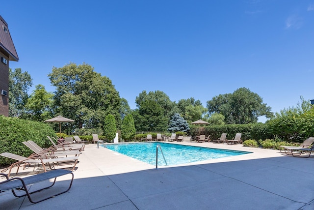 view of pool with a patio