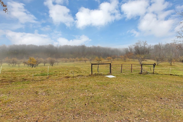 view of yard with a rural view