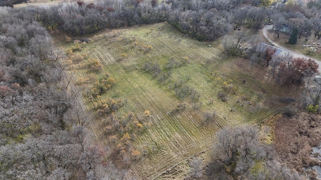 bird's eye view with a rural view