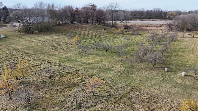 drone / aerial view featuring a rural view