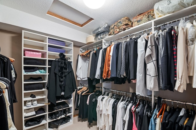 view of walk in closet