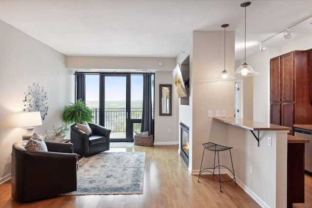 living room with light wood-type flooring and track lighting