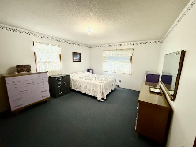 280 Oak St, Vesta, MN 56292 - photo 21