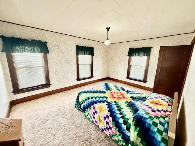 280 Oak St, Vesta, MN 56292 - photo 26