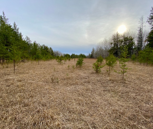 39794 259th Ave, Menahga, MN 56464
