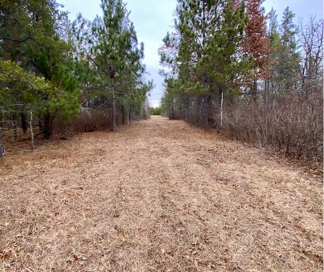 39794 259th Ave, Menahga, MN 56464