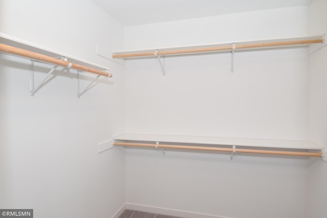 spacious closet featuring carpet