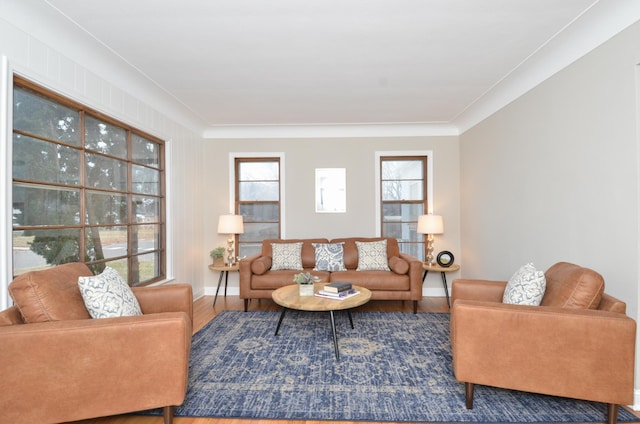 living room featuring hardwood / wood-style flooring