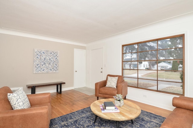 living room featuring wood-type flooring and ornamental molding