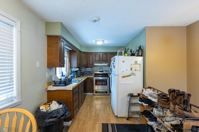 kitchen with a wealth of natural light, electric range, light hardwood / wood-style flooring, and white fridge