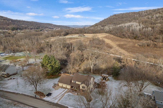 birds eye view of property with a mountain view