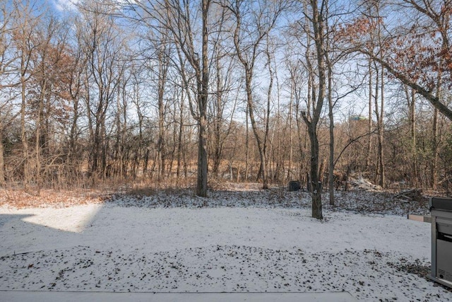 view of snowy yard