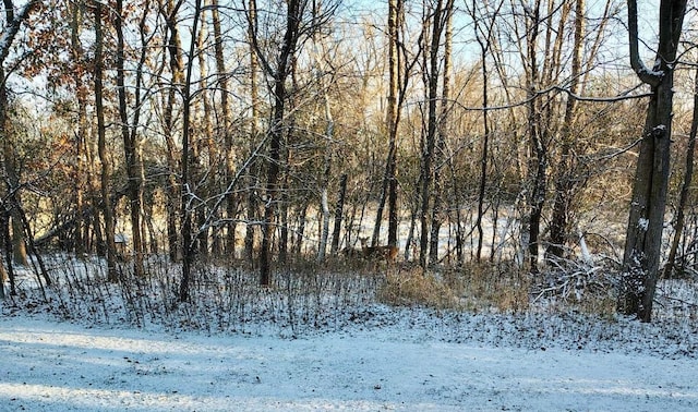 view of snowy landscape