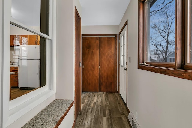 interior space featuring a wealth of natural light and dark hardwood / wood-style floors