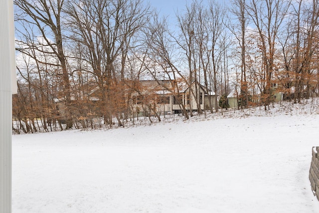 view of snowy yard