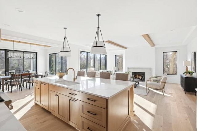 kitchen featuring sink, pendant lighting, a center island with sink, and light wood-type flooring