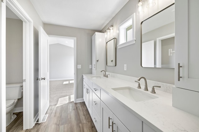 bathroom with vanity, hardwood / wood-style flooring, and toilet