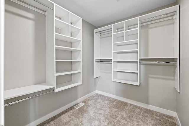 spacious closet featuring carpet