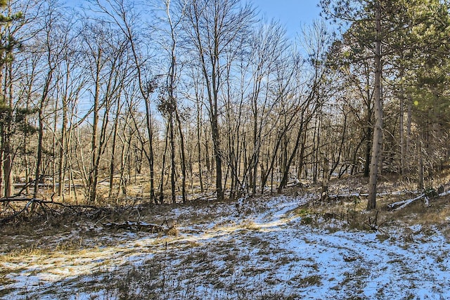 view of snow covered land