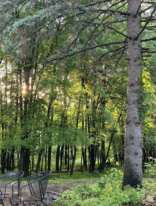 view of local wilderness featuring a view of trees