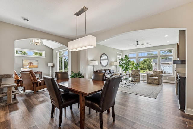 dining space featuring dark hardwood / wood-style flooring and ceiling fan with notable chandelier