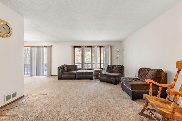 carpeted living room with plenty of natural light and a textured ceiling