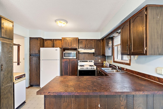 kitchen featuring sink, dark brown cabinets, a textured ceiling, white appliances, and backsplash