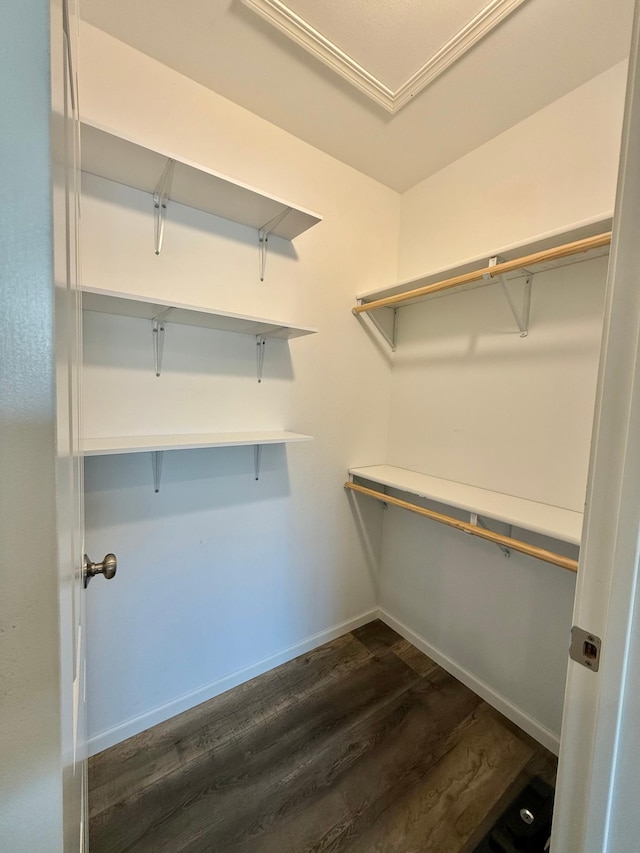 spacious closet with dark hardwood / wood-style floors