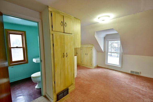 additional living space featuring light carpet, plenty of natural light, and lofted ceiling