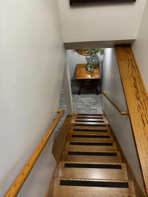 staircase featuring wood-type flooring