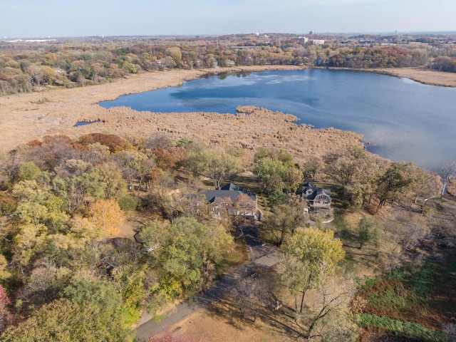 5517 Dickson Rd, Minnetonka, MN 55345 - aerial view of a nearby body of water and a forest