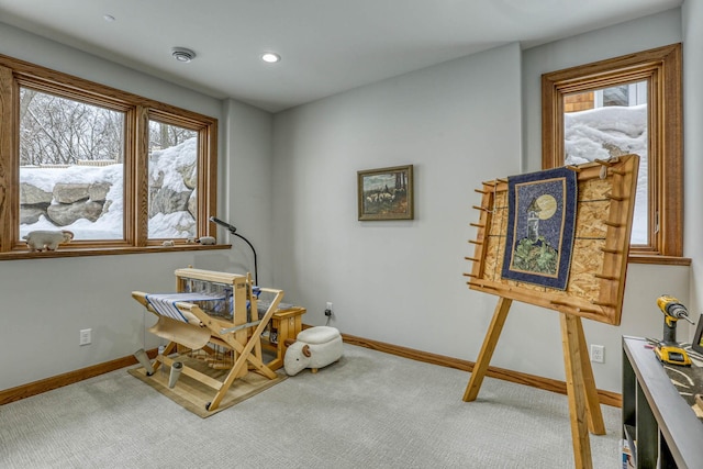 5517 Dickson Rd, Minnetonka, MN 55345 - office space featuring baseboards, carpet flooring, and recessed lighting