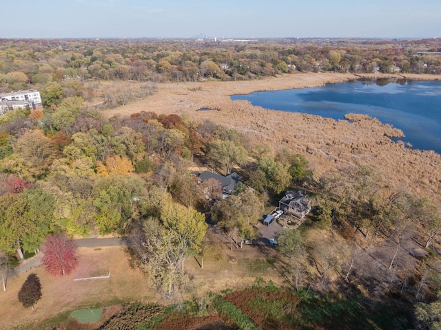 5517 Dickson Rd, Minnetonka, MN 55345 - bird's eye view of a nearby body of water and a forest