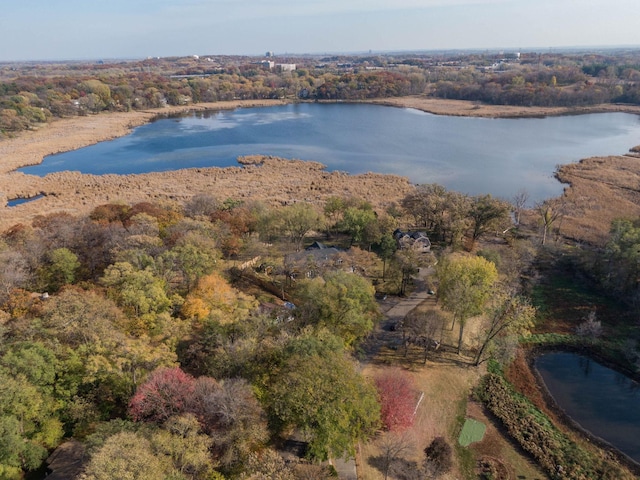 5517 Dickson Rd, Minnetonka, MN 55345 - aerial view of property's location featuring a large body of water and a heavily wooded area