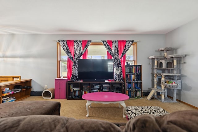 living room with carpet flooring