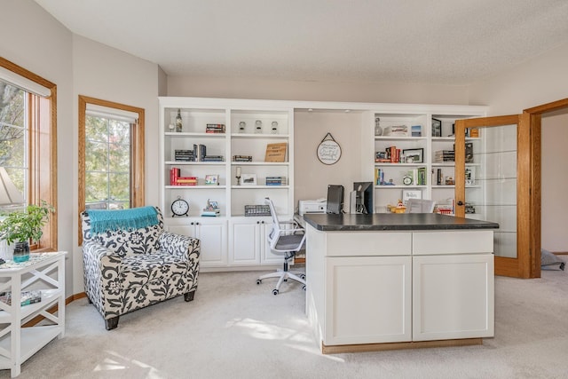 office space with a textured ceiling and light colored carpet