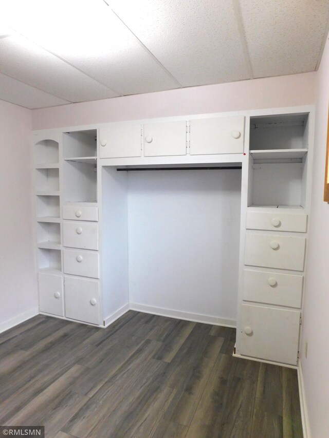 spacious closet featuring dark hardwood / wood-style floors