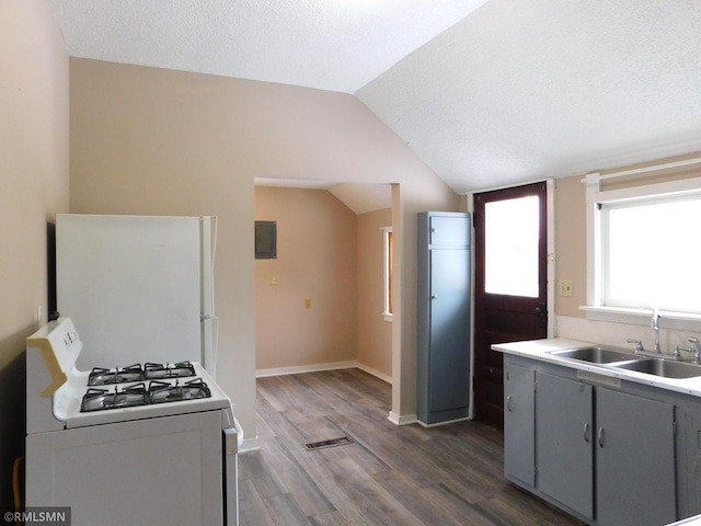 kitchen with gray cabinetry, white appliances, vaulted ceiling, sink, and dark hardwood / wood-style floors