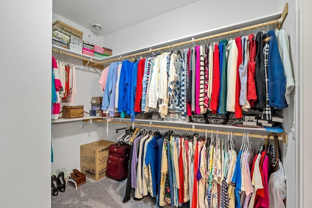 spacious closet featuring carpet floors