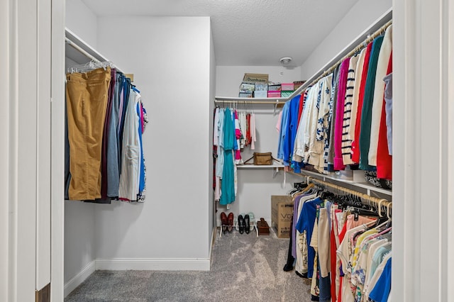 walk in closet featuring carpet