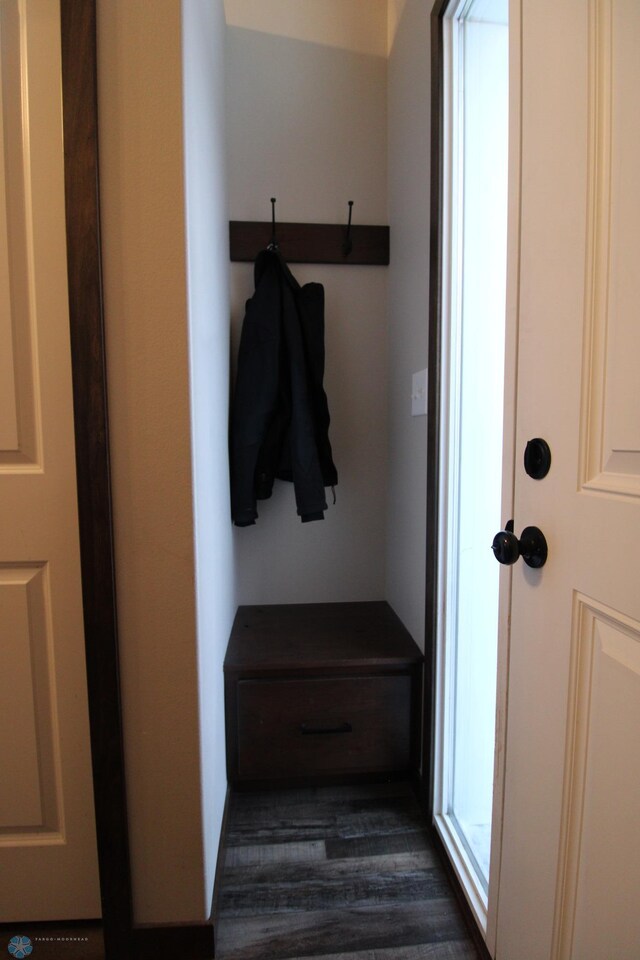 mudroom with dark wood-type flooring